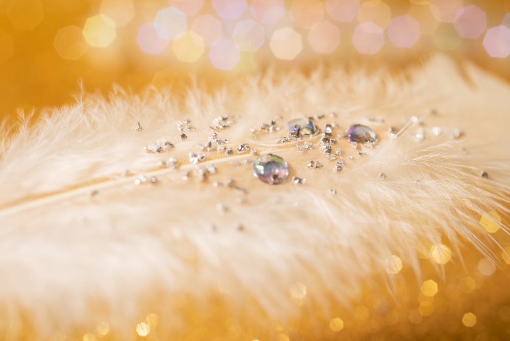 Embellishments and Complex Details