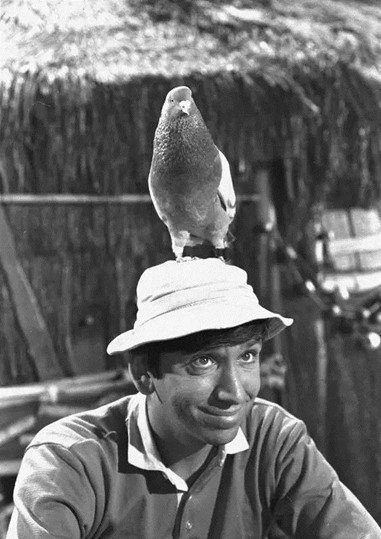 chapeaux de pêcheur, également appelés chapeaux bob