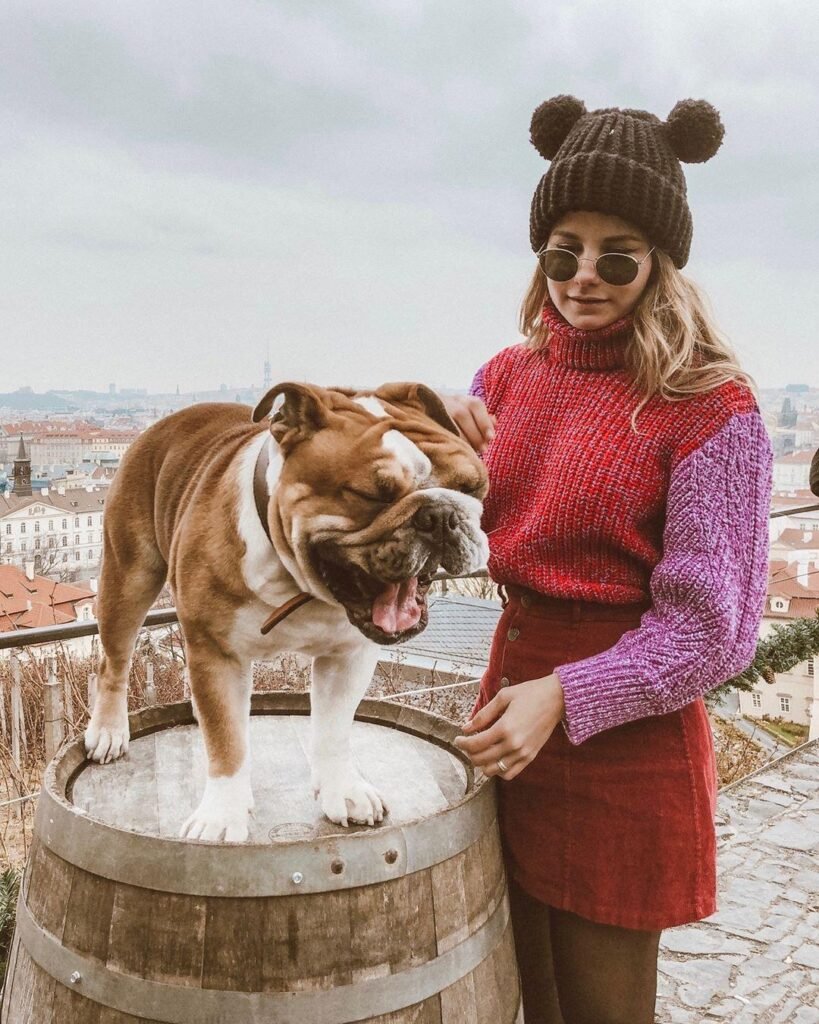 knit hat