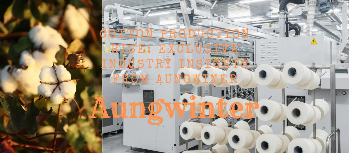 Anstieg der Baumwollproduktion: Exklusive Brancheneinblicke von Aungwiner